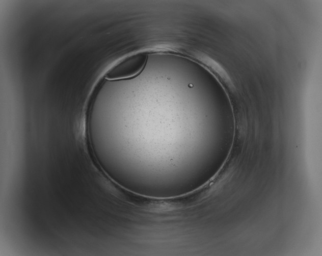 X0000101651420200807171243