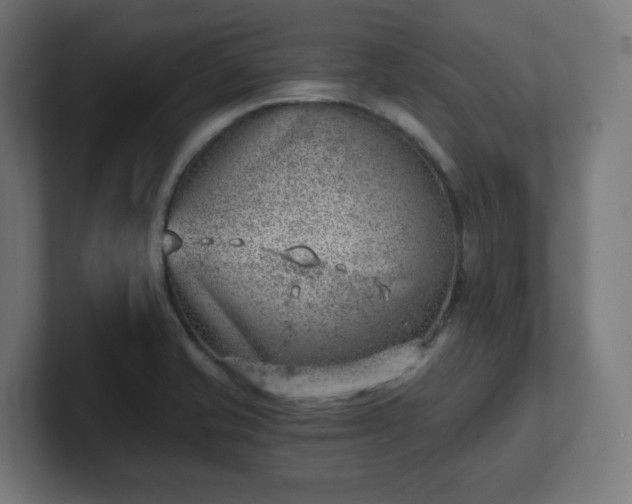 X0000101651421200807171243