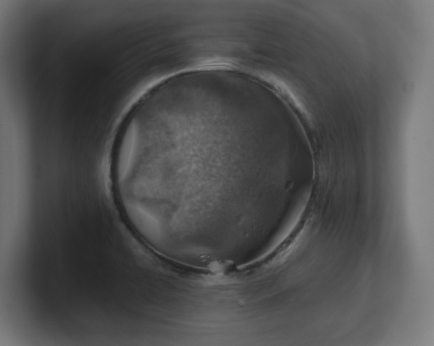 X0000101651422200807171243