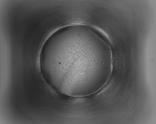 X0000101651423200807171243