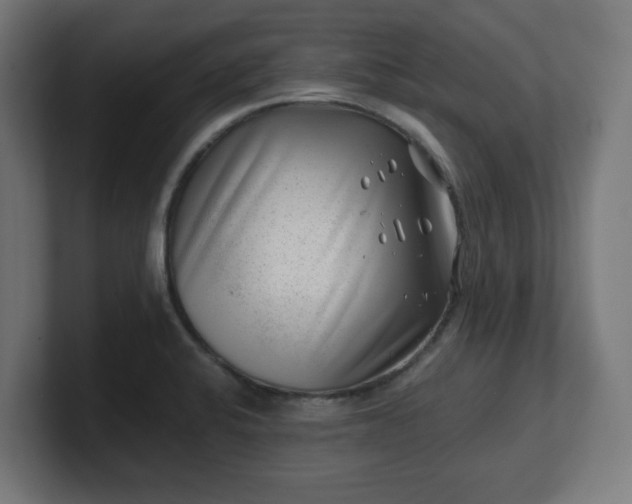 X0000101651424200807171243