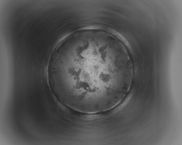 X0000101651425200807171243