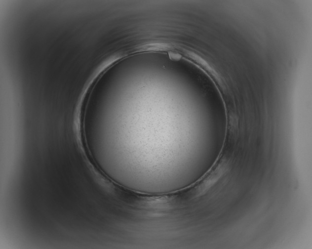 X0000101651426200807171244