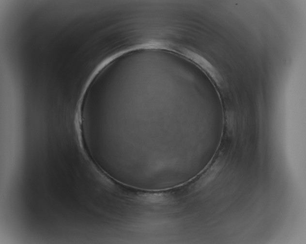 X0000101651428200807171244