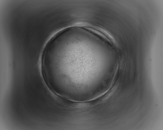 X0000101651430200807171244