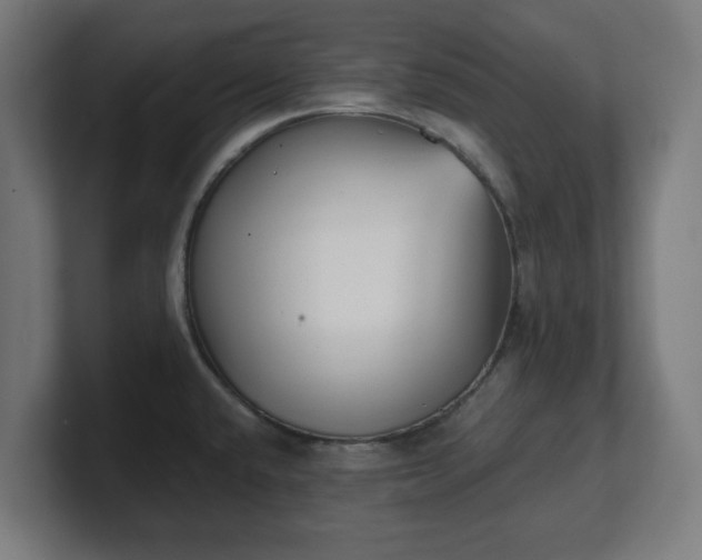 X0000101651432200807171244