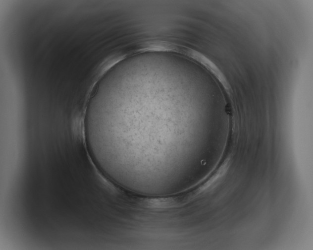 X0000101651433200807171244