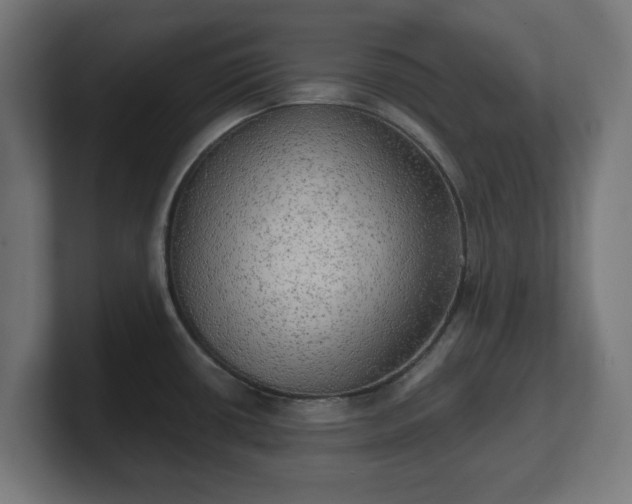 X0000101651434200807171244