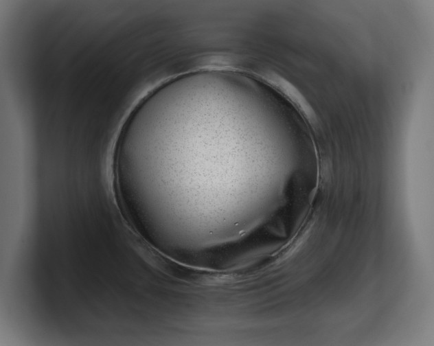 X0000101651435200807171244