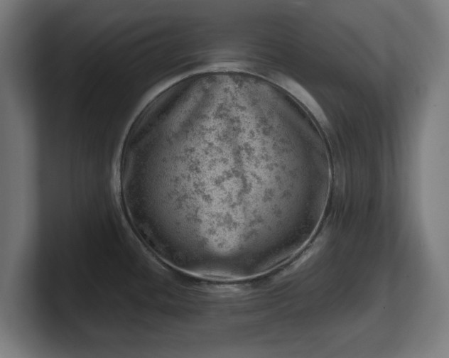 X0000101651436200807171244