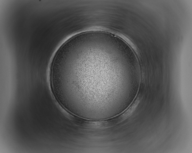 X0000101651438200807171244