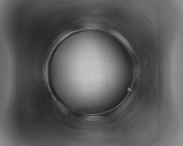 X0000101651439200807171244