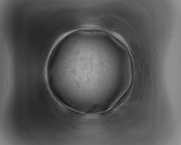 X0000101651440200807171244