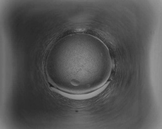 X0000101651441200807171243