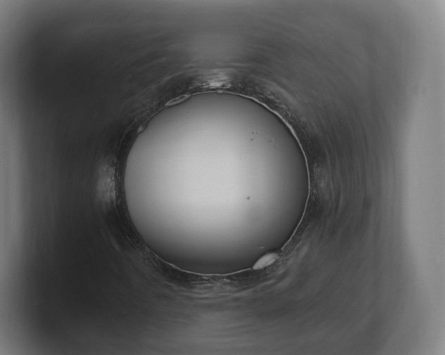 X0000101651442200807171243