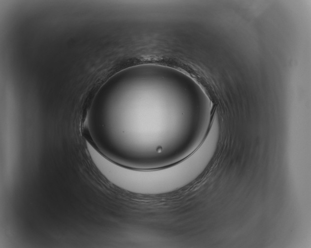 X0000101651444200807171243