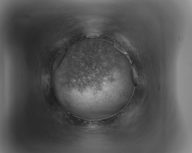 X0000101651445200807171243