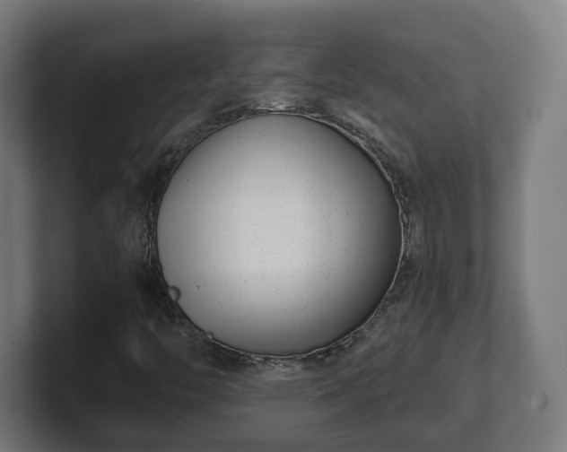 X0000101651446200807171243