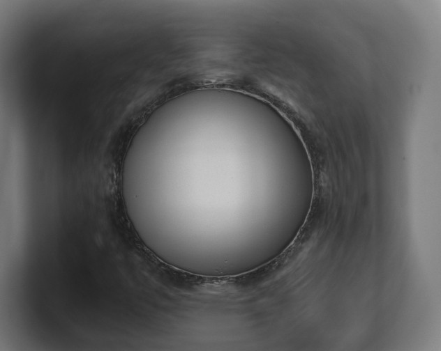 X0000101651447200807171243