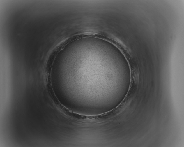 X0000101651448200807171243