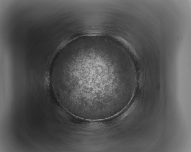 X0000101651449200807171243