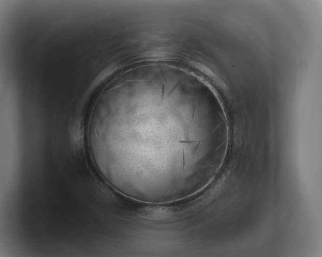 X0000101651450200807171243