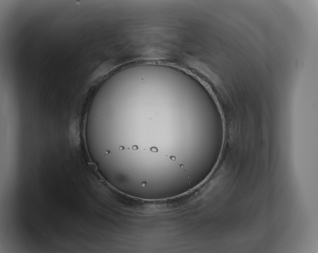 X0000101651451200807171243