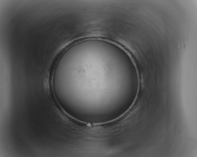 X0000101651452200807171243