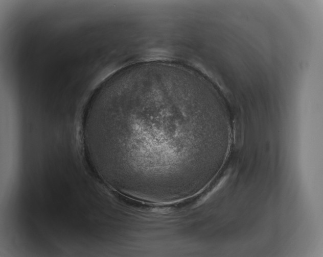 X0000101651453200807171243