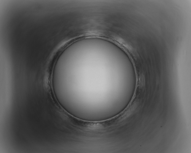 X0000101651454200807171243