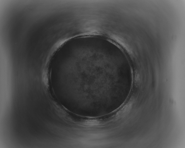 X0000101651455200807171243