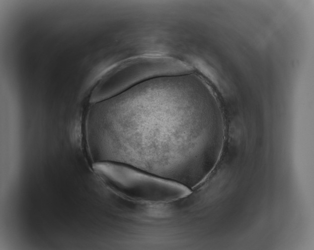 X0000101651456200807171243