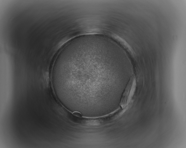 X0000101651457200807171243