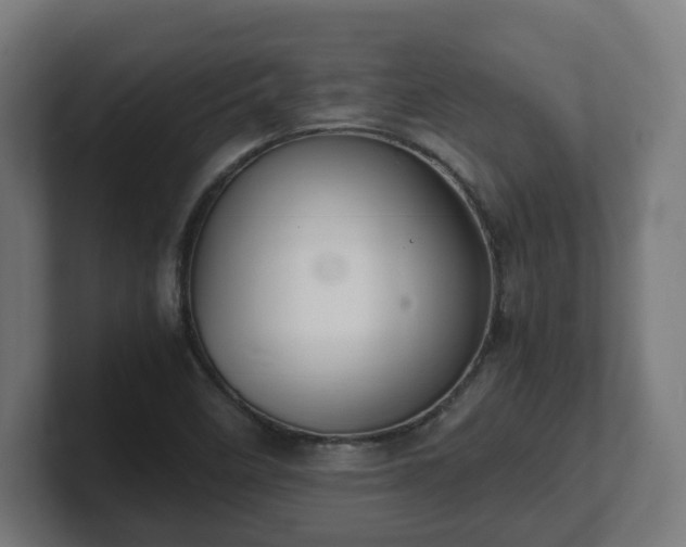 X0000101651458200807171243