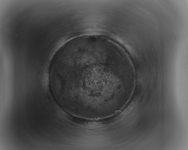 X0000101651459200807171243