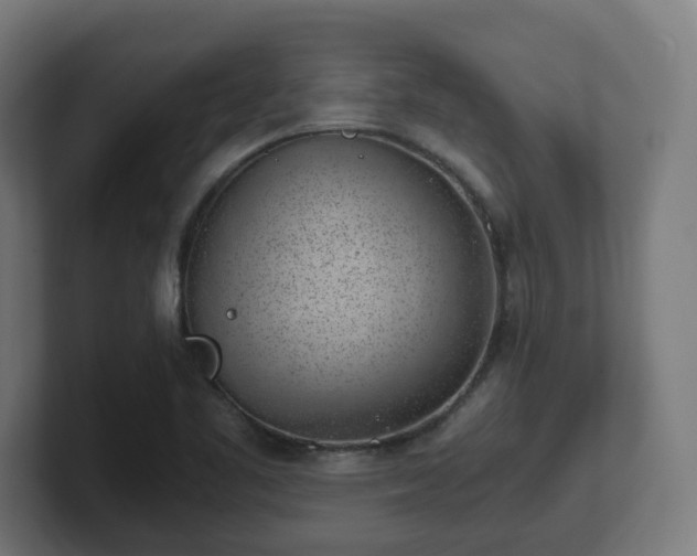 X0000101651461200807171243