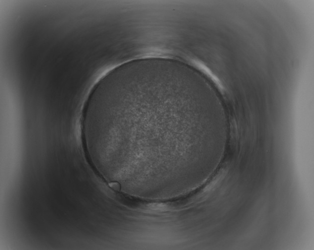 X0000101651463200807171243