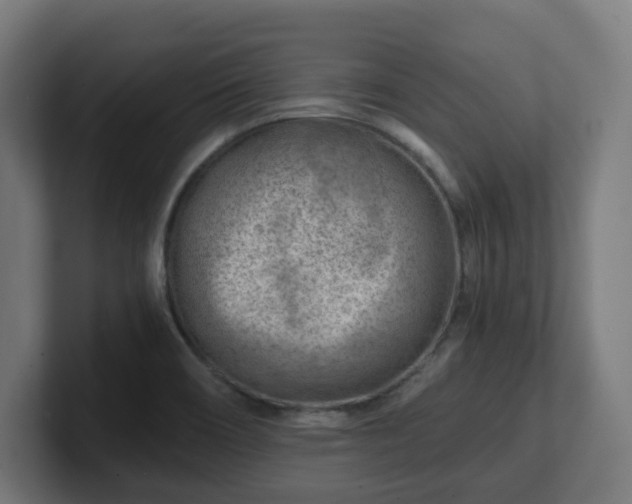 X0000101651466200807171243