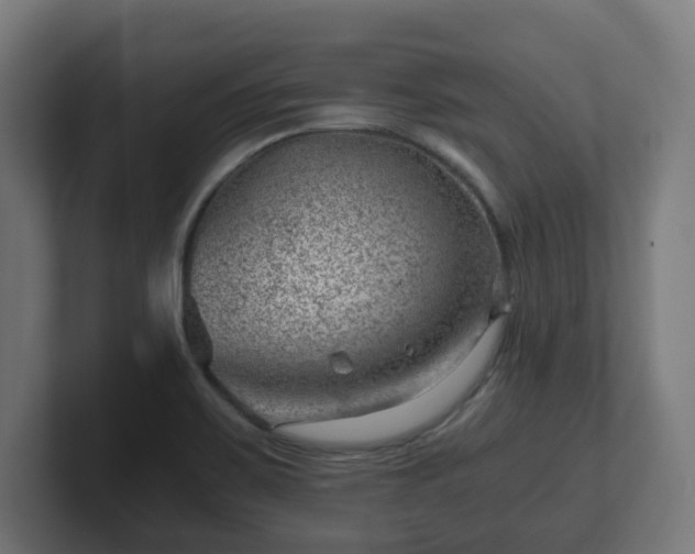 X0000101651467200807171243