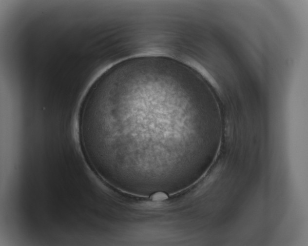 X0000101651468200807171243