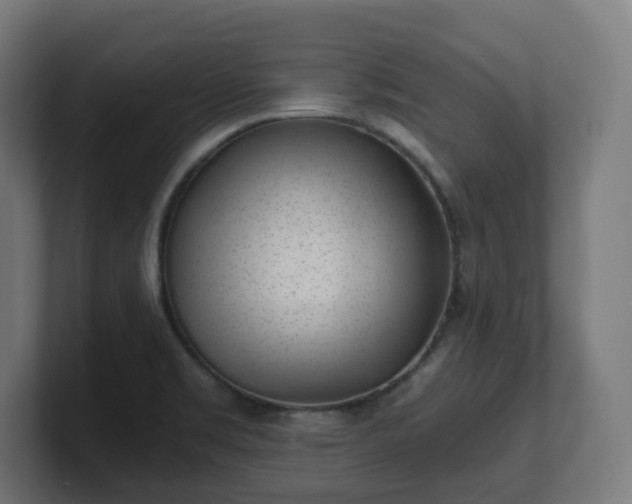 X0000101651469200807171243