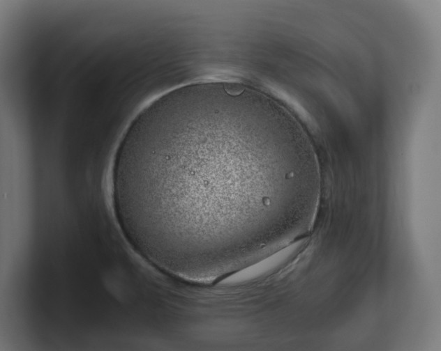 X0000101651471200807171243