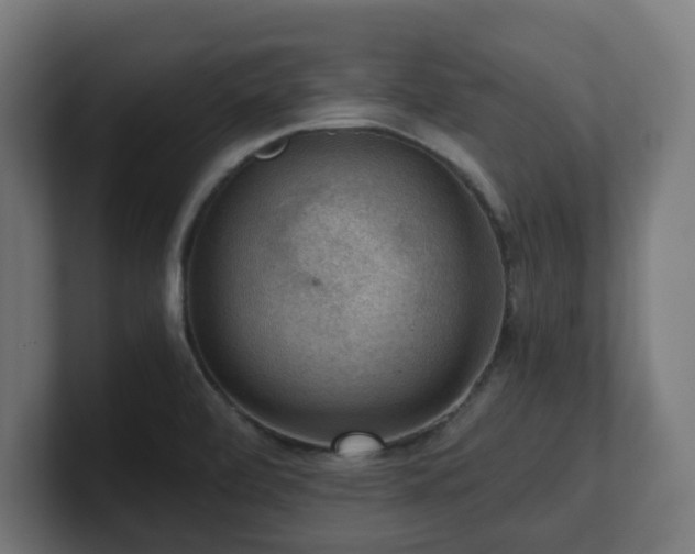 X0000101651472200807171243