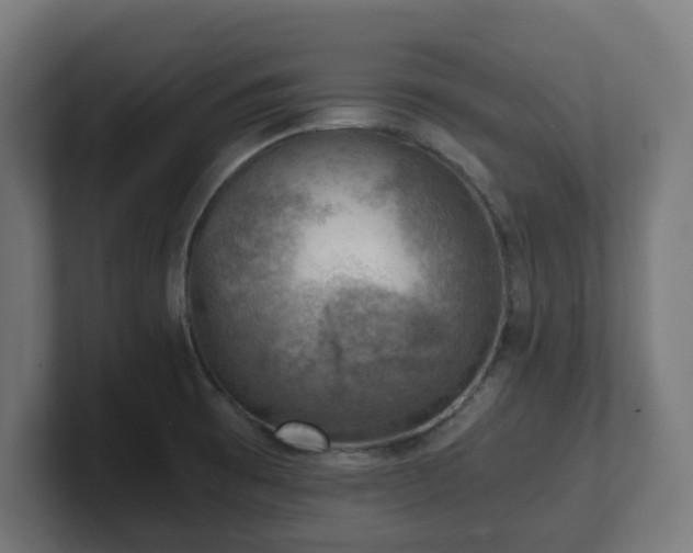 X0000101651473200807171243