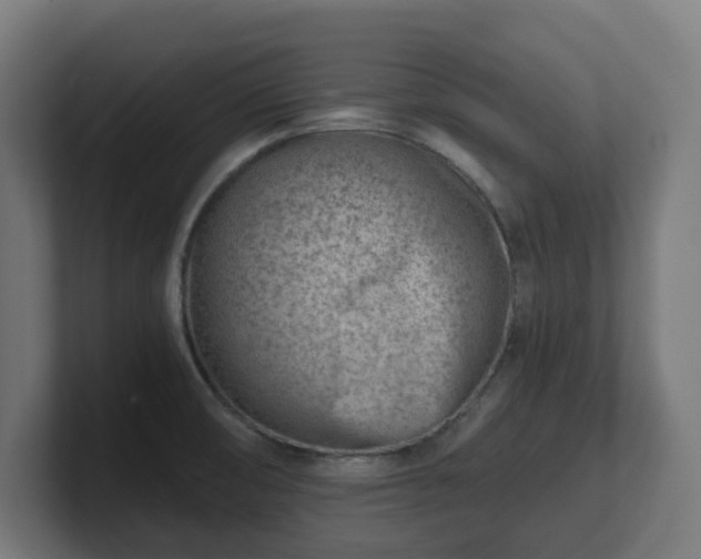 X0000101651474200807171243