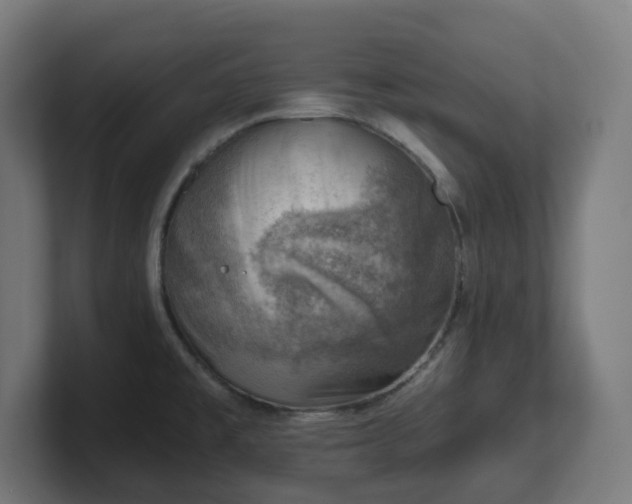 X0000101651477200807171243