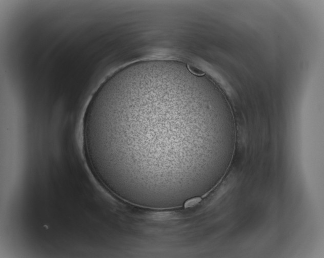 X0000101651479200807171243