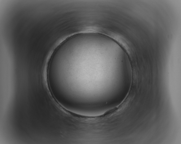 X0000101651480200807171243