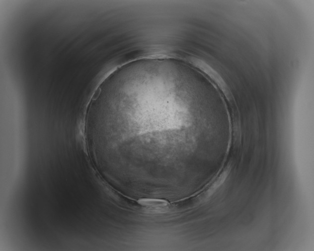 X0000101651481200807171243