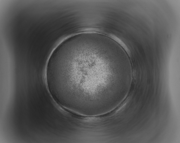 X0000101651482200807171243